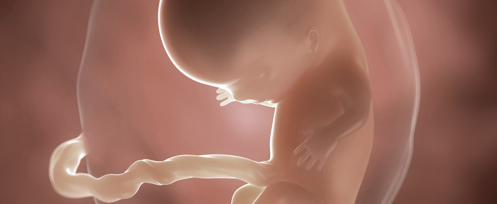 10 Ssw Schwangerschaftskalender Aptaclub
